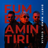 постер песни Dirty Nano feat. Giulia - Fumez Amintiri