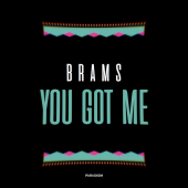 постер песни Brams - You Got Me