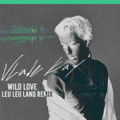 постер песни Leu Leu Land, Fant - Caves