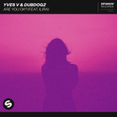 постер песни Yves V - Are You OK (feat. ILIRA)
