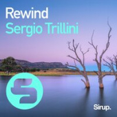 постер песни Sergio Trillini - Without You