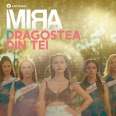 постер песни Mira - Dragostea Din Tei