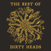постер песни Dirty Heads - Dance All Night