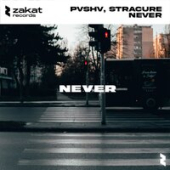 постер песни PVSHV feat. STRACURE - Never