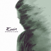 постер песни EMIN - Отпусти и лети