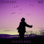 постер песни Calum Scott - Rise (Sam Feldt Remix)