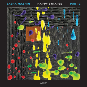 постер песни Sasha Mashin - Night Melody