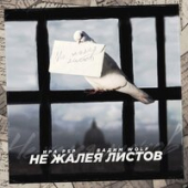 постер песни Ира PSP, Вадим WolF - Не жалея листов