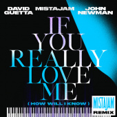 постер песни David Guetta, MistaJam, John Newman - If You Really Love Me (How Will I Know) (MistaJam Remix Extended)