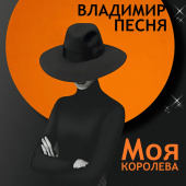 постер песни Владимир Песня - Моя Королева