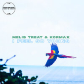 постер песни Melis Treat feat. Kormax - I Feel So Young
