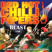 постер песни Red Hot Chili Peppers - The Drummer