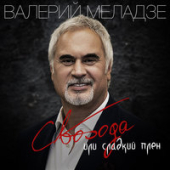 постер песни Валерий Меладзе - Свобода или сладкий плен