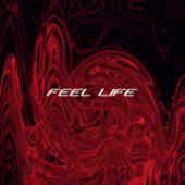 постер песни STRACURE - Feel Life