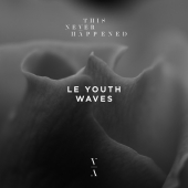 постер песни Le Youth - Waves (OCULA Remix)