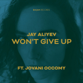 постер песни Jay Aliyev - Won t Give Up