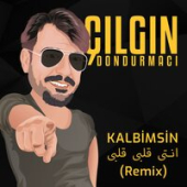 постер песни Çılgın Dondurmacı - Kalbimsin (Remix)