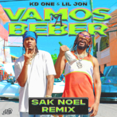 постер песни KD One feat. Lil Jon - Vamos A Beber (Sak Noel Remix)