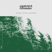 постер песни Gabriel, Dresden, Sub Teal - Will I Change (Edit)