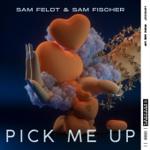 постер песни Sam Feldt - Pick Me Up