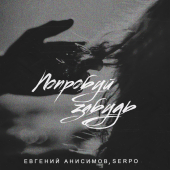 постер песни Евгений Анисимов - Попробуй забудь