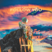 постер песни Max Vertigo - Follow You