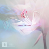 постер песни Terry Da Libra - U (Extended Mix)