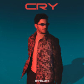 постер песни Eyelish - Cry