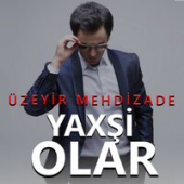 постер песни Uzeyir Mehdizade - Tek Sen Xosbex