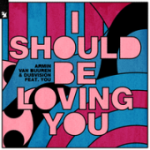 постер песни Armin van Buuren - Whatever she feels like, something to feel right