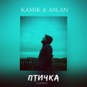 постер песни Kamik - Птичка (cover)