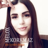 постер песни Melox Korkmaz - Usta (Ben Söyledim Dinleyin)