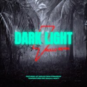 постер песни Night Lovell - Polozhenie (Remix)