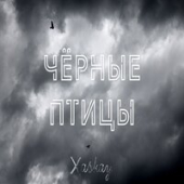 постер песни Литвиненко - Чёрные Птицы