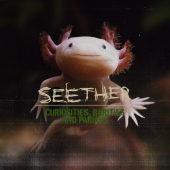 постер песни Seether - Safe To Say I ve Had Enough