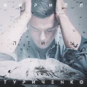 постер песни Кирилл Туриченко - Птицы