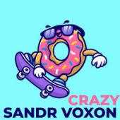 постер песни Sandr Voxon - Crazy