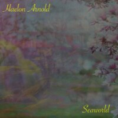 постер песни Haelon Arnold - Seaworld (Extended Mix)