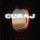 Постер к треку Shift feat. The Urs - Curaj