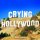 Постер к треку Люся Чеботина - А я хочу чтобы на нас Глядя плакал Голливуд